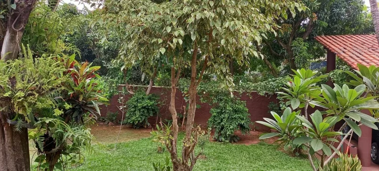 Imagem CHÁCARA COMPLETA - CHÁCARAS RECREIO ALVORADA - HORTOLÂNDIA