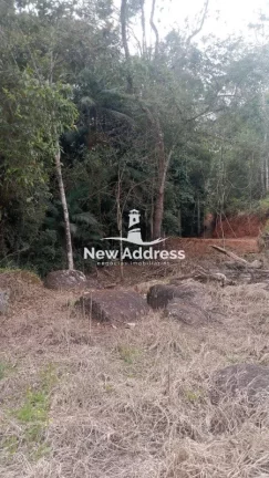Imagem Terreno com 11.500 m², Platô Pronto, Lago e Nascente à Venda em Domingos Martins