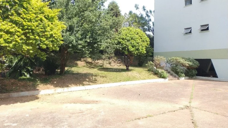 Imagem Apartamento com 2 Quartos à Venda, 56 m² em Vila Santa Catarina - São Paulo