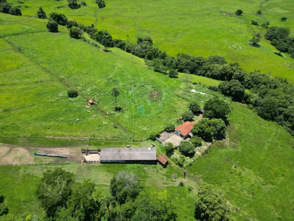 Imagem SÍTIO DE 24,99 ALQUEIRES (60,49 hectares) em RIFAINA/SP COM ESTRUTURA COMPLETA, 03 CASAS SIMPLES, E MUITA ÁGUA..