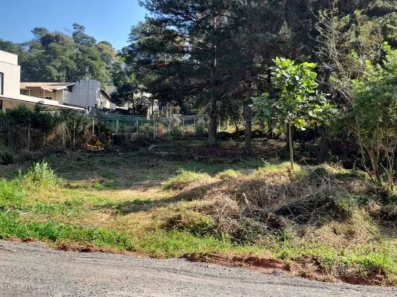 Imagem Fazendinha - LOTE 1.420,00 m², plano e sem árvores grande porte!