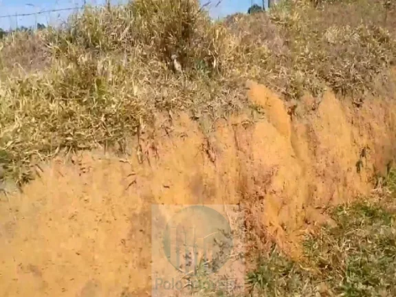 Imagem Sítio planta café 22,34 alqueires, terra vermelha, casa, água, galpão - Zona Rural - Biguatinga l de Minas Gerais