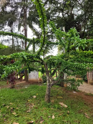 Imagem vende - sítio na região de Cabreúva-sp