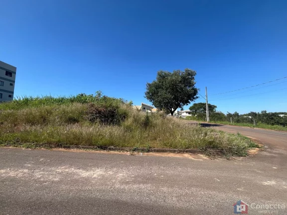 Imagem Terreno à Venda de 375m² no Bairro Campos Elíseos em Patos de Minas-MG Oportunidade de Investimento em Terreno Amplo e Bem Localizado e de Esquina no Campos Eliseos