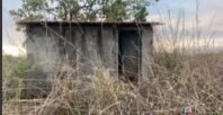 Imagem Fazenda à venda em Presidente Olegário – 58 hectares planos, mecanizáveis e com água