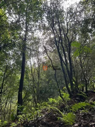 Imagem Terreno à venda, 20000 m² por R$ 400.000,00 - São Mateus - Camanducaia/MG