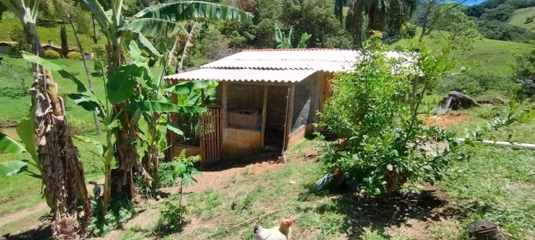 Imagem CHACARA 12.000 MTS - BAIRRO ANHUMAS - ITAJUBÁ - MG