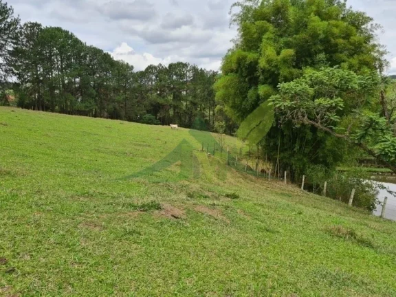 Imagem Lindo Sítio à Venda em Piracaia – 48.400 m² de Tradição e Beleza Natural