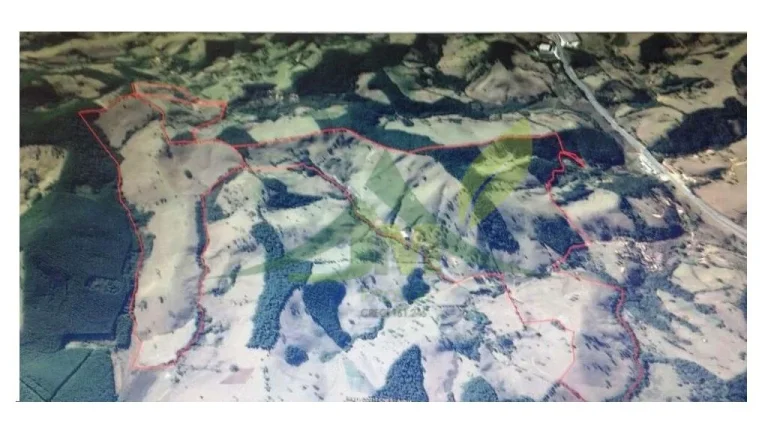 Imagem FAZENDA GADO NELORE COM 100 ALQUEIRES em Cambui MG