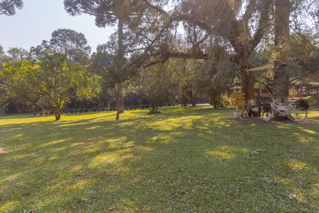 Imagem Chácara lazer ou eventos Campo Largo