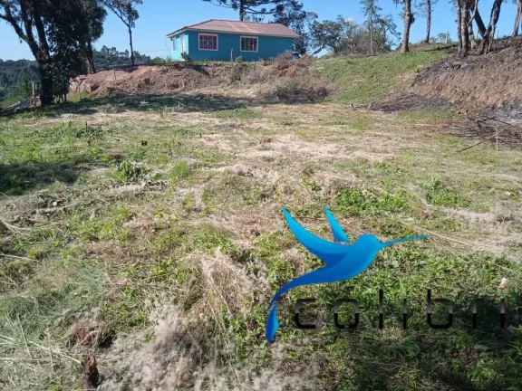 Imagem Terreno à Venda, 1.820 m² em Leão - Agudos Do Sul
