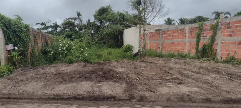 Imagem Terreno, Jardim das Palmeiras, Itanhaém - R$ 100 mil, Cod: 2265