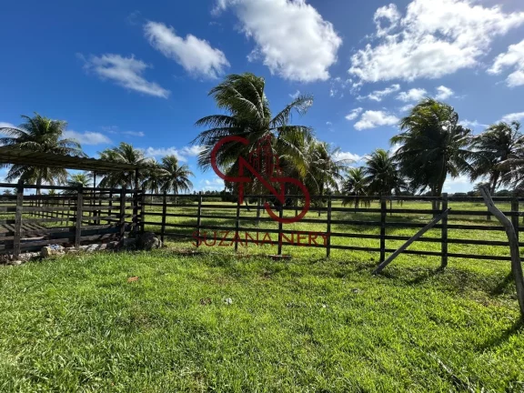 Imagem Fazenda residencial á venda em Nísia Floresta com 37 hectares