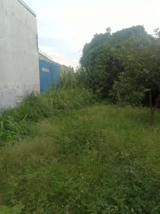 Imagem Terreno para alugar, 350 m² por R$ 2.000,00/mês - Vila do Americano - Ferraz de Vasconcelos/SP