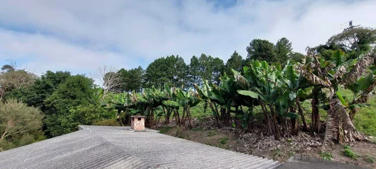 Imagem Chácara à venda em Campo Largo/PR