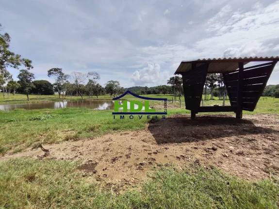 Imagem Chácara com 5 alqs Rica em Água 115 kms de Goiânia