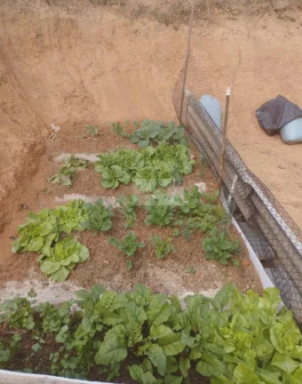 Imagem CHÁCARA JARDIM CANANÉIA