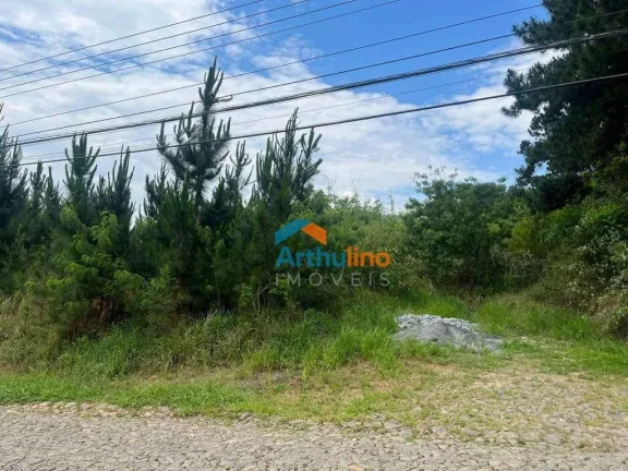 Imagem Terreno à venda, 4973 m² por R$ 3.500.000,00 - Paisagem Renoir - Cotia/SP