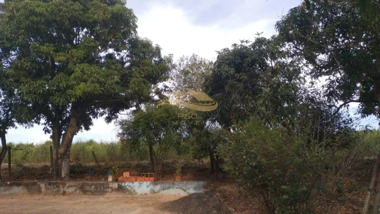 Imagem SITIO RURAL em ELIAS FAUSTO - SP, Centro