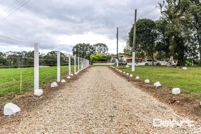 Imagem Sitio maravilhoso com 10,51 hectares - a 200m do Mercado 4 irmãos - Fazendinha - c/ Escritura e Registro - Rio Negro.