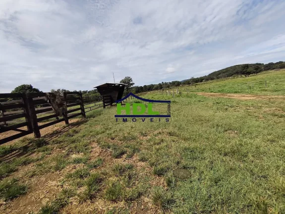 Imagem Chácara com 5 alqs Rica em Água 115 kms de Goiânia