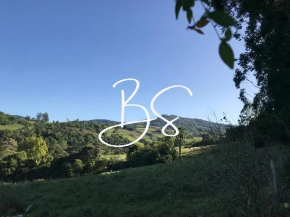 Imagem AREA RURAL em SANTO ANTÔNIO DA PATRULHA - RS, Pinheirinhos