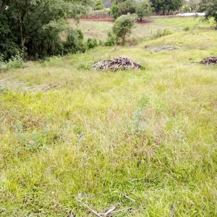 Imagem Chácaras para Camping Lazer em Condomínio Linha Tiradentes Pinhalzinho SC