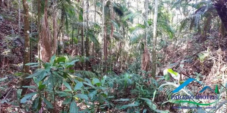 Imagem Espetacular Área Rural em Paraisópolis - Minas | 155 hectares
