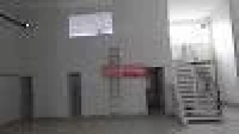 Imagem Galpão à venda, 800 m² por R$ 3.000.000,00 - Cidade Soberana - Guarulhos/SP