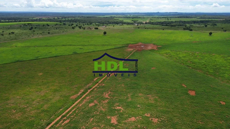 Imagem Fazenda dupla aptidão a venda em Nova Xavantina-MT
