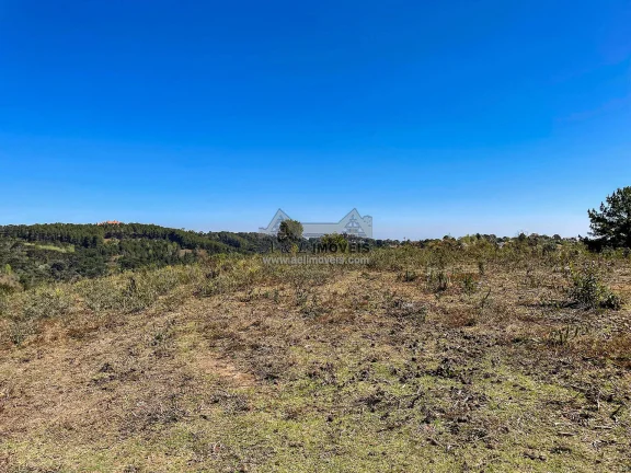 Imagem Terreno 5.268 m² no Alto da Boa Vista em Campos do Jordão com ZR3