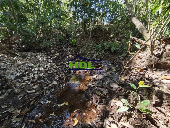 Imagem Chácara 2 Alqs de Cultura Forte e nascente 85 kms de Goiânia