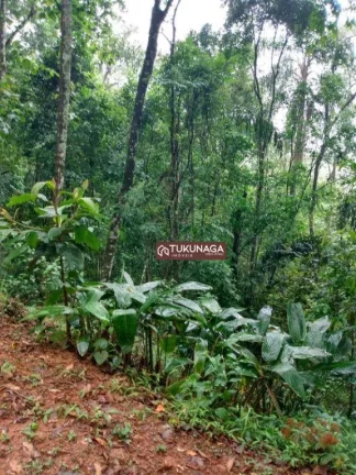 Imagem Terreno à venda, 2035 m² por R$ 135.000,00 - Boa Vista - Mairiporã/SP