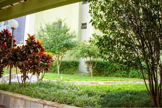 Imagem APARTAMENTO RESIDENCIAL em São Paulo - SP, Vila Mascote