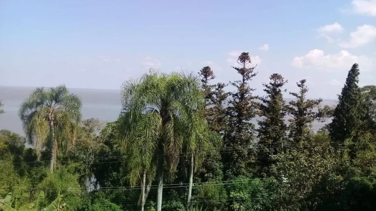 Imagem Belo Sítio com 1.3 Hectares, vista panorâmica, Ponta Grossa/Porto Alegre