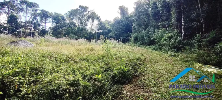Imagem Terreno Exuberante no Bairro Campestre, Gonçalves – Serra da Mantiqueira