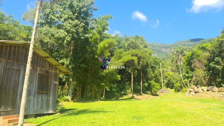 Imagem Sítio à venda no bairro Centro - Maquiné/RS