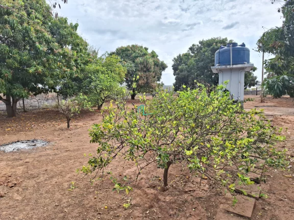 Imagem Imóvel à venda em Rifaina-SP