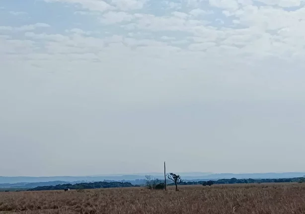 Imagem Fazenda à Venda – 583 Hectares – Viamão/RS