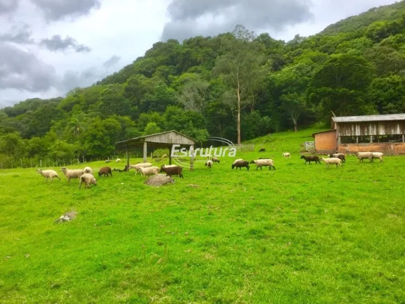Imagem Sítio maravilhoso com 47 hectares de natureza exuberante!