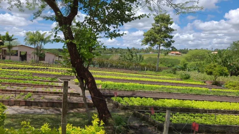 Imagem Terreno em Condomínio para Venda em Macaíba, Área Rural de Macaíba