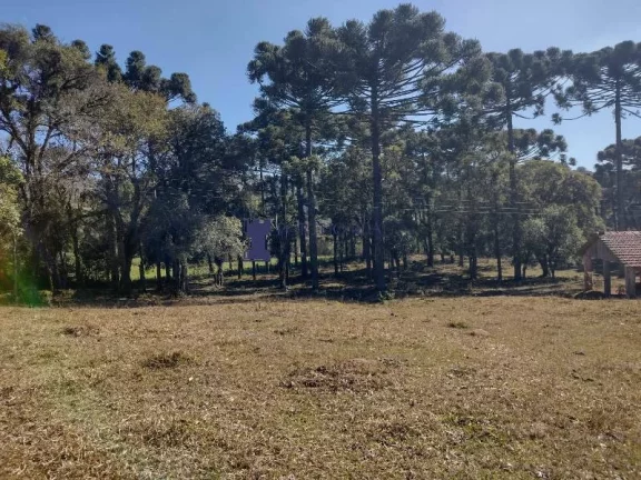 Imagem CHÁCARA NA REGIÃO NO BUGRE EM BALSA NOVA