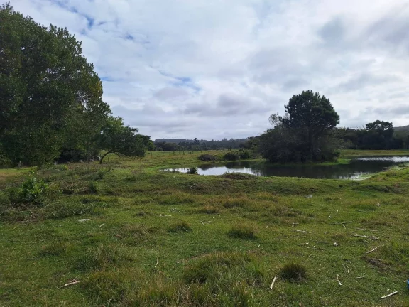Imagem Sítio à venda, com 1 hectare, açude, no Passo da Areia - Viamão/RS
