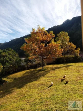 Imagem Sítio com 4 quartos, 6,3 ha, à venda em Morro Reuter - RS