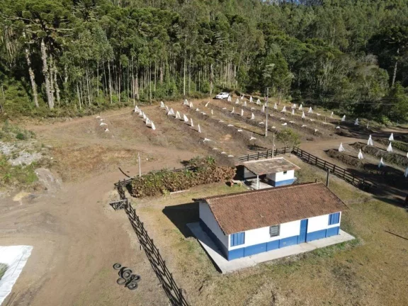 Imagem Fazenda à Venda, 4.463.400 m² em Zona Rural - Maria Da Fé