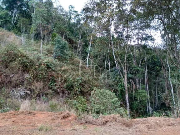 Imagem Chácaras em Santa Teresa 3000 metros