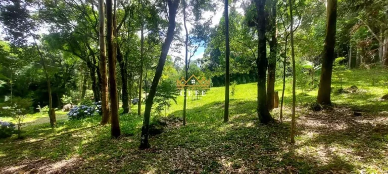 Imagem Chácara - Sítio com 2 Dormitorio(s) localizado(a) no bairro Carapina em São Francisco de Paula / RIO GRANDE DO SUL Ref.:1537