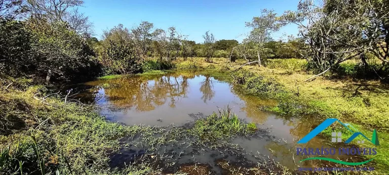 Imagem Propriedade Rural de Alto Padrão: Pronta para Produção e Investimento!