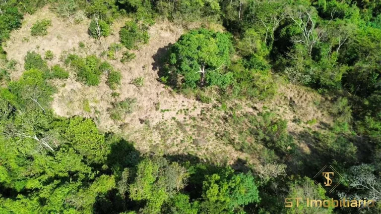Imagem Sítio com Escritura à Venda em Atibaia/SP - 64.000m² por R$2.2 Mi