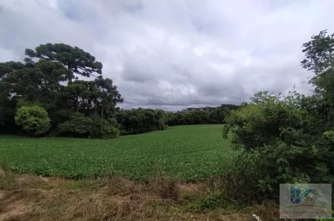 Imagem Terreno para Venda em São José dos Pinhais, Contenda, 1 dormitório